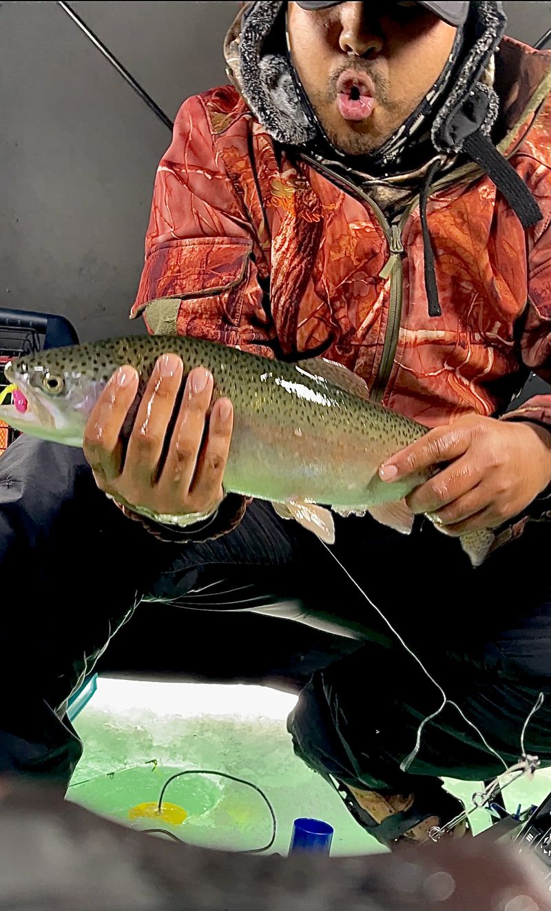 Rainbow trout caught through an ice hole on a Colorado frozen lake